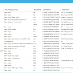 GTA V NativeDB Explorer 1.0