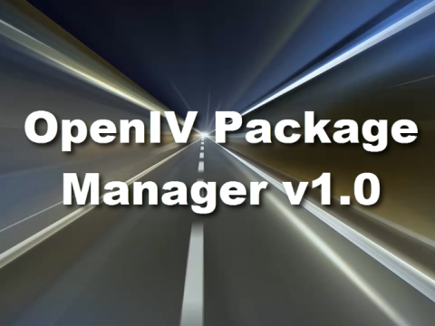 OpenIV Package Manager 1.0