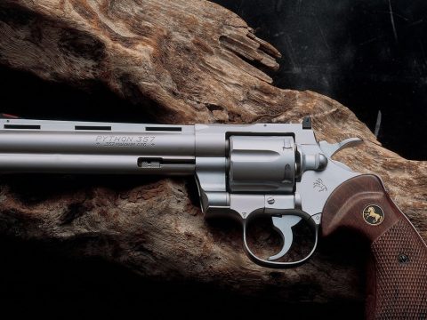 Python .357 Magnum CT6