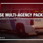 NOOSE Multi-Agency Pack [Add-On | Lore Friendly | Soundbank ]
