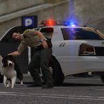 San Andreas Hospital Police Pack [EUP | Vehicles | Lore-Friendly] 1.0.0