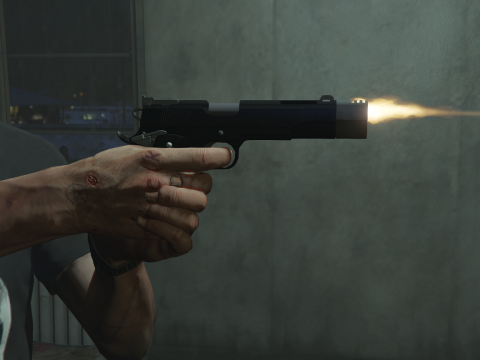 Punisher Custom 1911 1.0