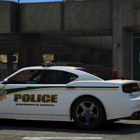 Developmental Services Police Pack [EUP | Vehicles | Lore-Friendly ...