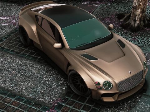 Enus Paragon Custom