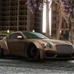 Enus Paragon Custom