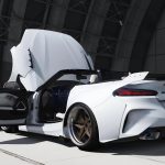 BMW Z4 ''The Alchemist'' [Add-On / Replace]