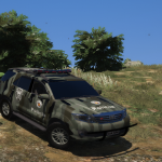 HILUX SW4 COE PMESP ELS