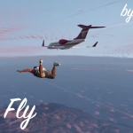 Nice Fly 2.5