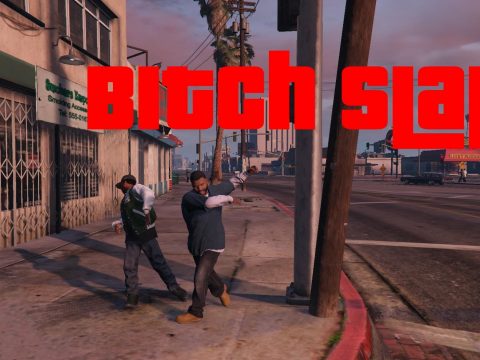 Bitch Slap 1.1