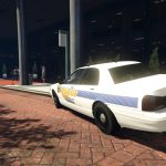 US Mint Police Pack [Add-On] 1.0