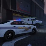 US Mint Police Pack [Add-On] 1.0