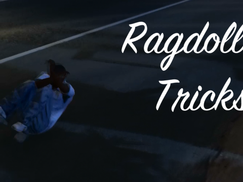 Ragdoll Tricks