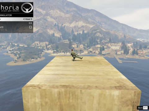 Euphoria Physics Engine Simulator