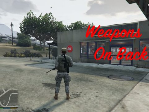Weapons On Back