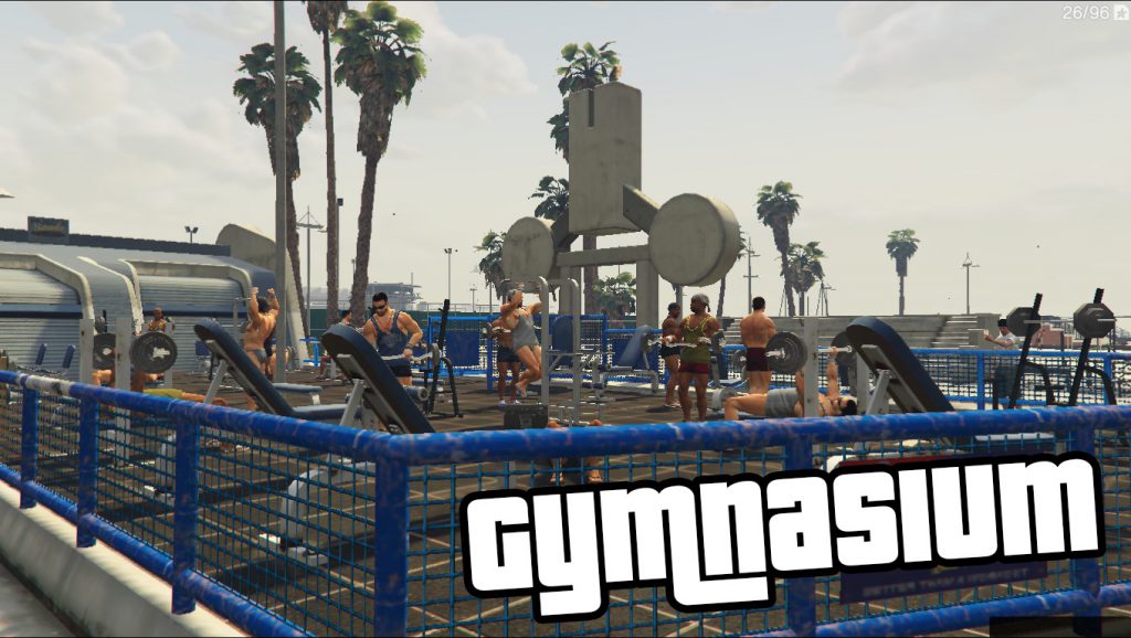 Gymnasium [.NET] 1.1