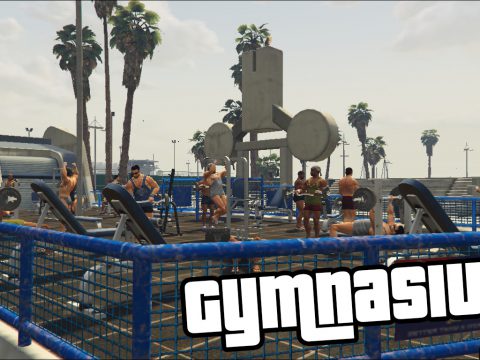 Gymnasium [.NET] 1.1