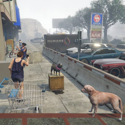 Animal Ark Pet Shop – GTA 5 mod