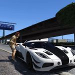 Family Friendly Free Roaming 2.6.2