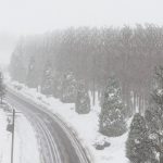 Forested North Yankton & More 1.0