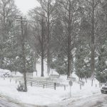 Forested North Yankton & More 1.0