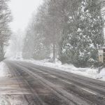 Forested North Yankton & More 1.0