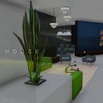 Modern Art House
