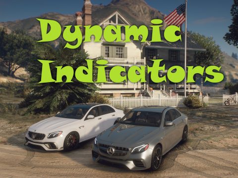 Dynamic Indicators