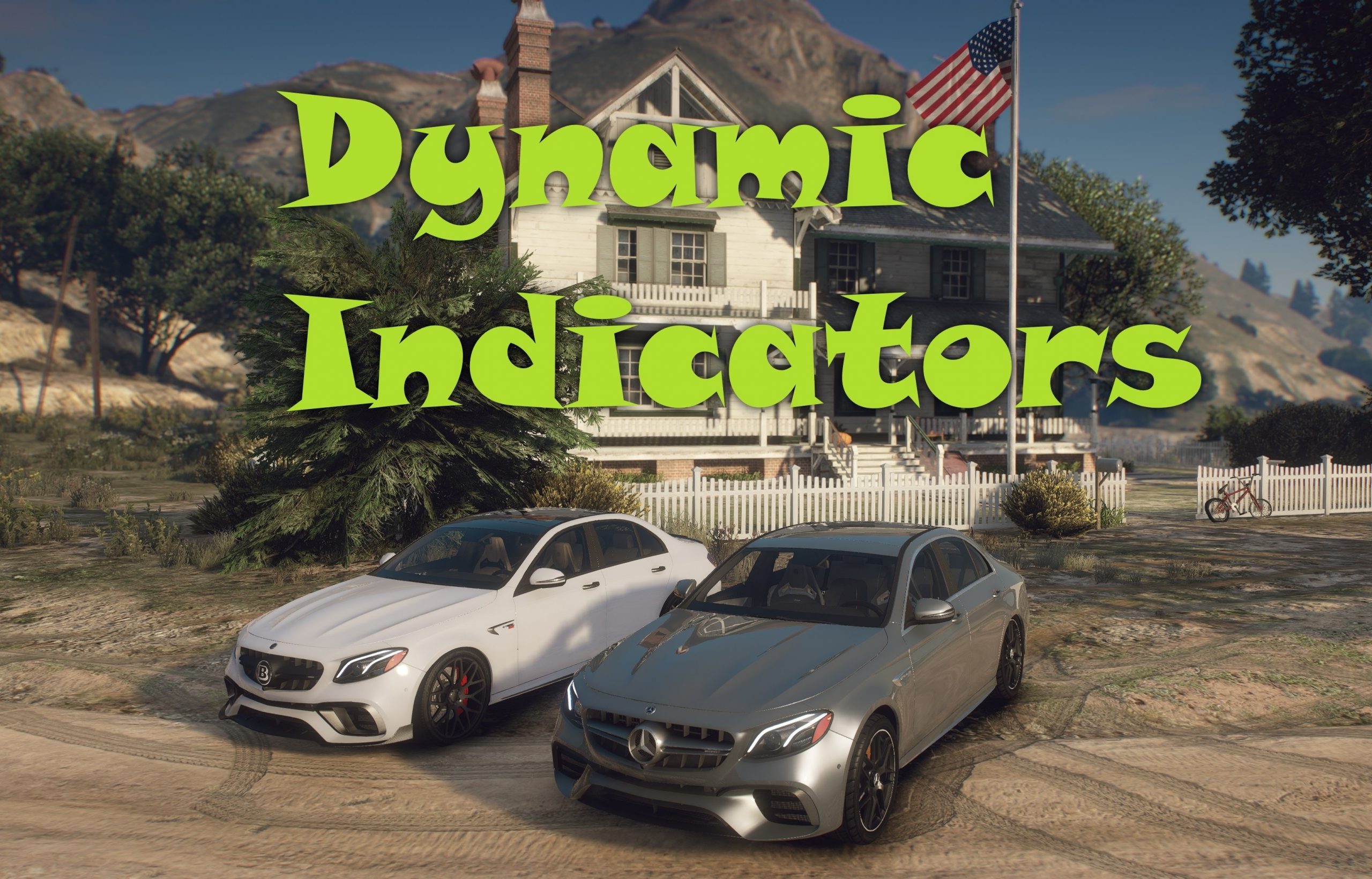 Dynamic Indicators
