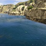 Indian Ocean (Clear Ocean Water) 1.3