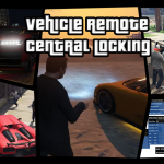 Vehicle Remote Central Locking 2.1.1