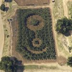 Crop circle [YMAP] 1.0