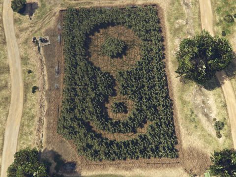 Crop circle [YMAP] 1.0
