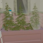 Gang House [SP / FiveM YMAP] v1.0