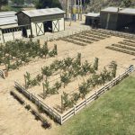 Madrazo Ranch - Outdoor planting 1.0