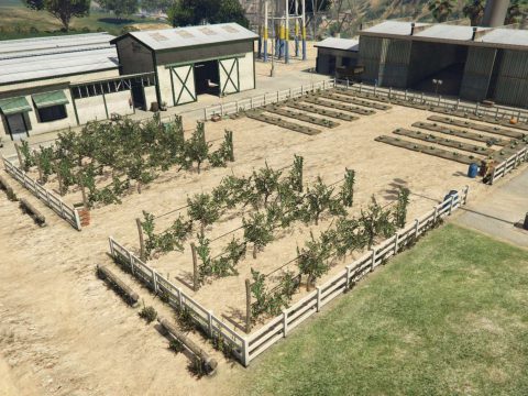 Madrazo Ranch - Outdoor planting 1.0
