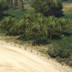 Madrazo Ranch - Outdoor planting 1.0