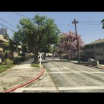 Forest ballas vagos families/FIVEM/YMAP 1.0