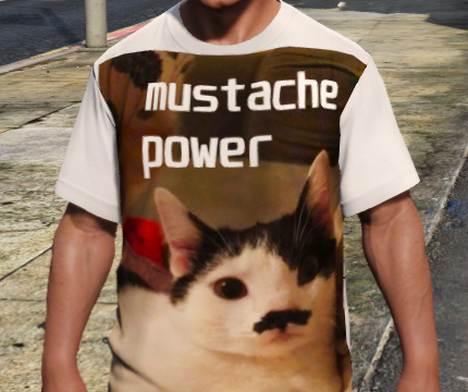 Cat shirt for Franklin 1.0