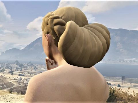 Hairstyle for MP Female - braid with bun 1.0
