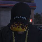 Palm Angels Flame Cap For Franklin 1.0