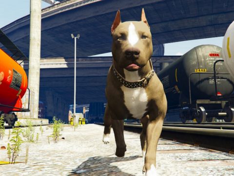 Pit bull (Replace Chop) 1.1