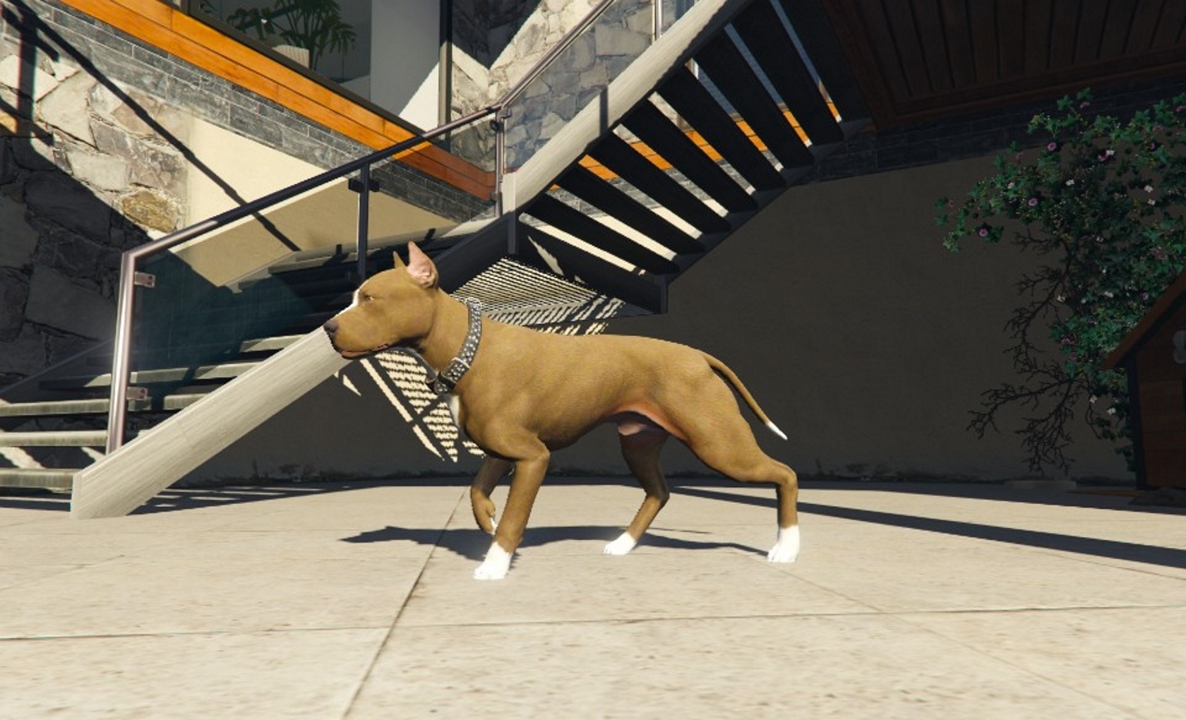All the animals in gta 5 фото 90