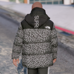 Supreme x TNF - Nuptse Jacket Pack