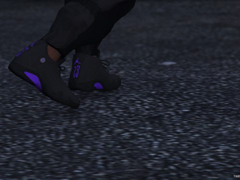 Air Jordan XIV 1.0