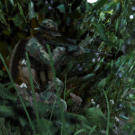 EDRL camo for uniform + panama (freemode male) 1.0