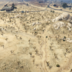 More Joshua Trees in Senora Park