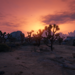 More Joshua Trees in Senora Park