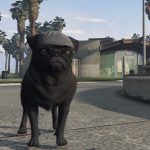 Ourstory's Peaky Blinder Pug SP + FiveM Ready 1.01