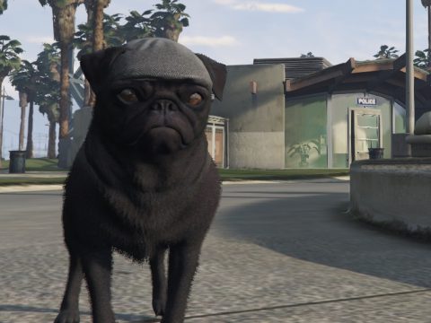 Ourstory's Peaky Blinder Pug SP + FiveM Ready 1.01