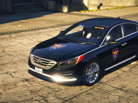 SONATA Korean unmaked police